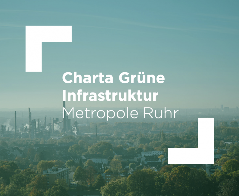 Charta Grüne Infrastruktur – Leitfaden für die nachhaltige Transformation - Die Grünen im 